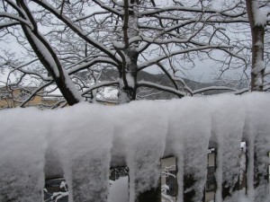 Schneewatte