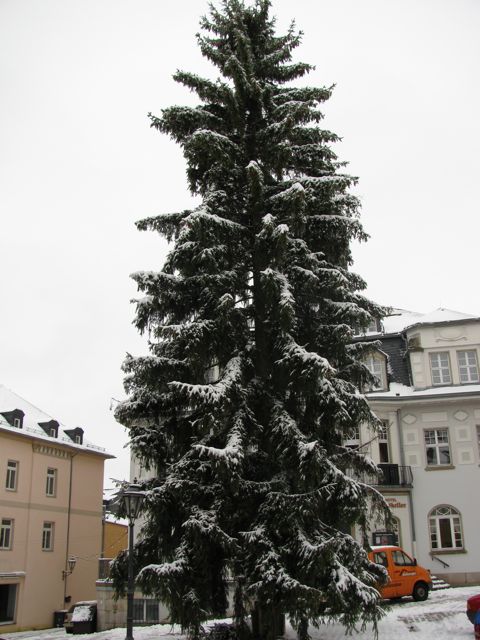 Weihnachtsbaum Schwarzenberg 2010