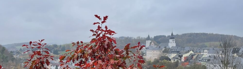 Schwarzenberg-Blog