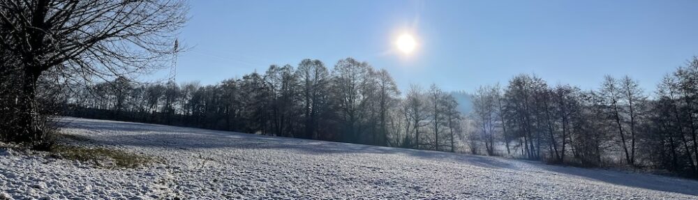 Schwarzenberg-Blog