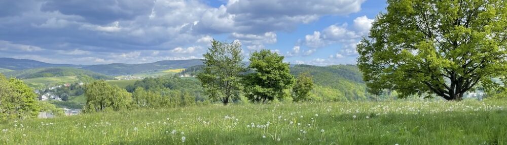 Schwarzenberg-Blog