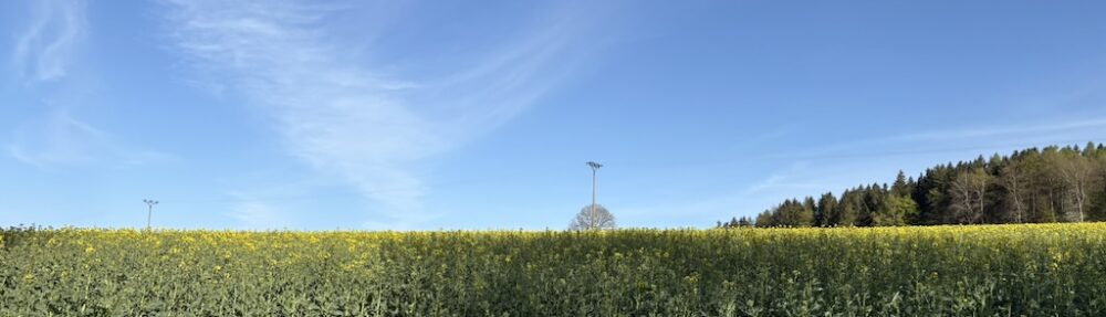 Schwarzenberg-Blog
