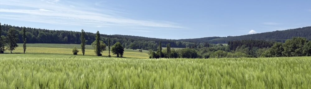 Schwarzenberg-Blog